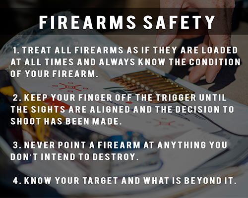 Fire Arm Safety